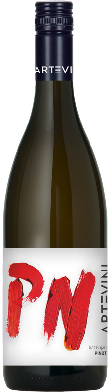 Arte Vini Pinot Noir moravské zemské víno 750ml